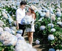 Tour du lịch Đà Lạt 3 ngày 2 đêm từ Hà Nội